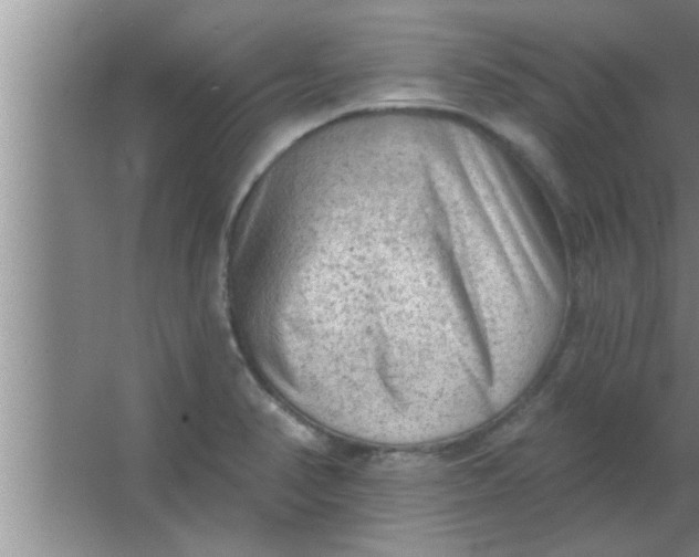 X0000063481374200602031914