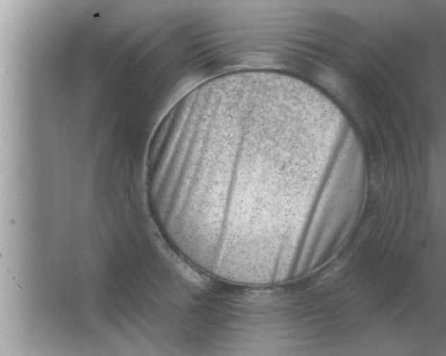 X0000063481378200602031914