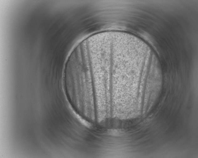 X0000063481379200602031914