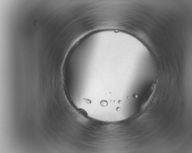 X0000063481380200602031914