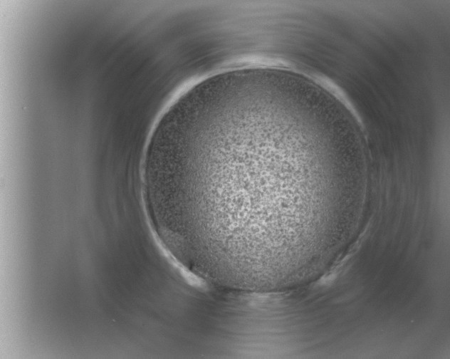 X0000063481381200602031914