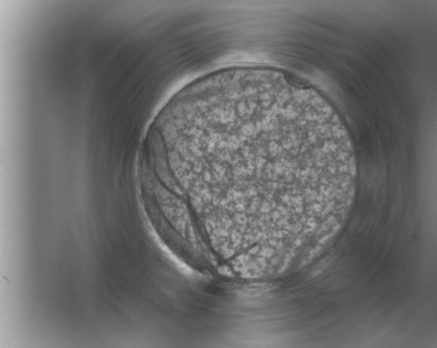 X0000063481382200602031914