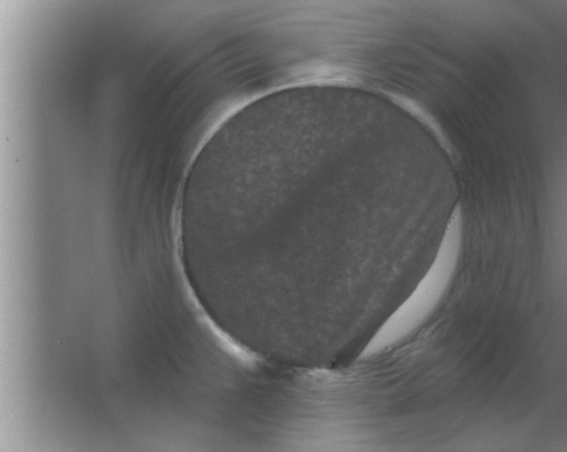 X0000063481383200602031914