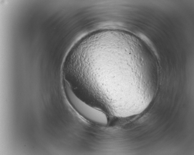 X0000063481384200602031914