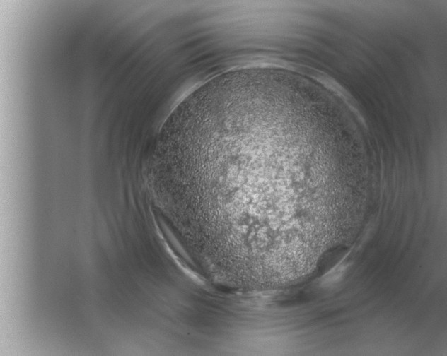 X0000063481385200602031914