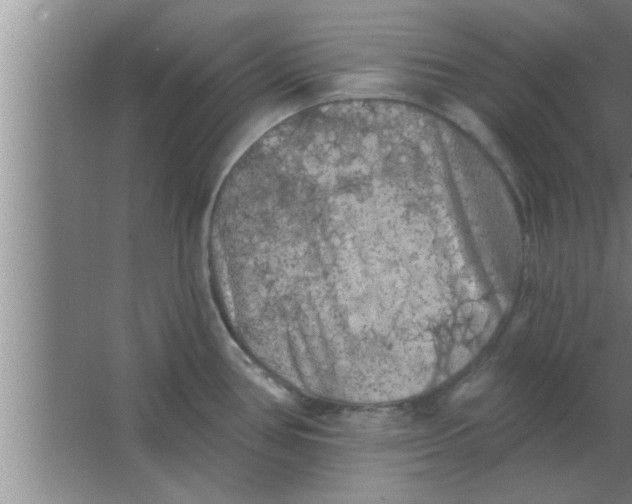 X0000063481386200602031914