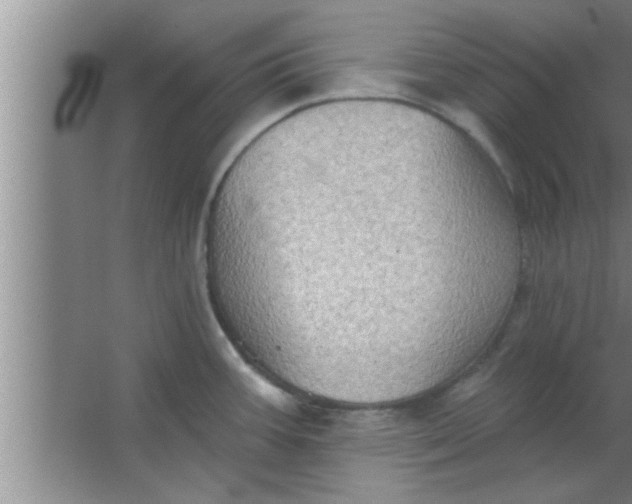 X0000063481387200602031914