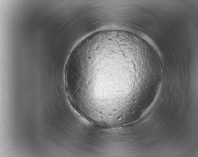 X0000063481388200602031914