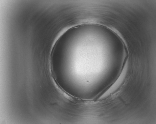 X0000063481389200602031914