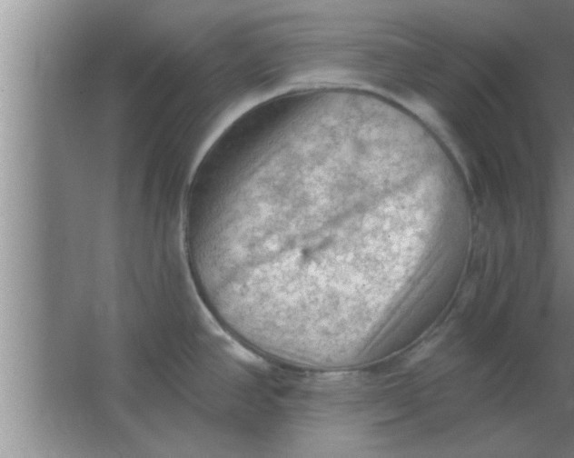 X0000063481390200602031914