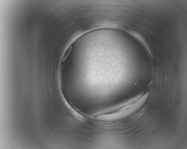 X0000063481391200602031914