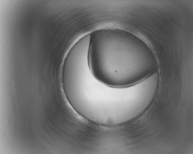 X0000063481392200602031914