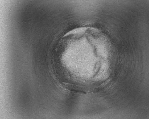 X0000063481393200602031913