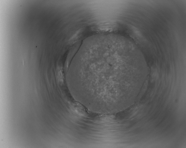 X0000063481394200602031913