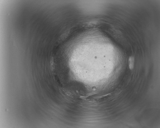 X0000063481395200602031913