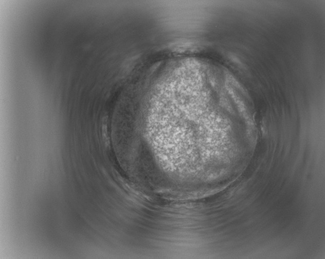 X0000063481396200602031913