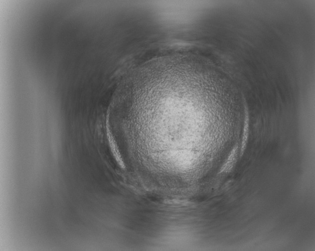 X0000063481397200602031913