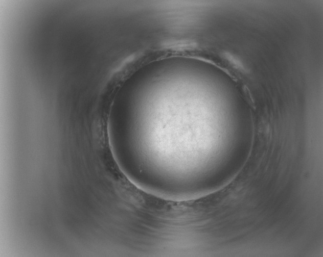 X0000063481398200602031913