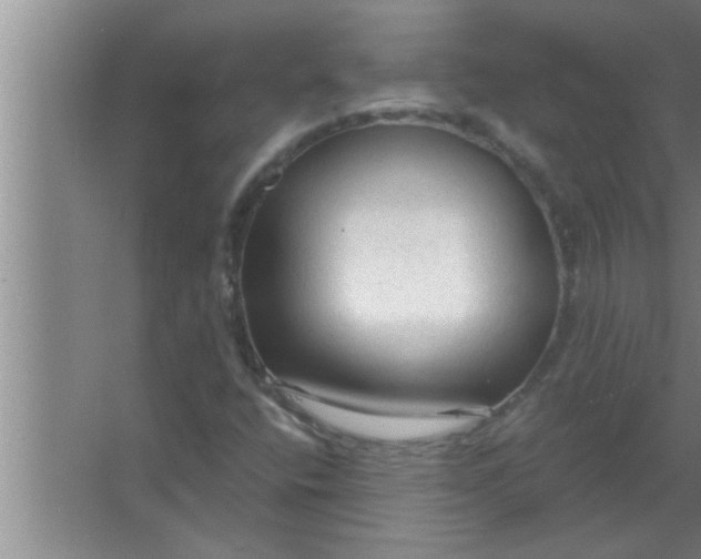 X0000063481400200602031913