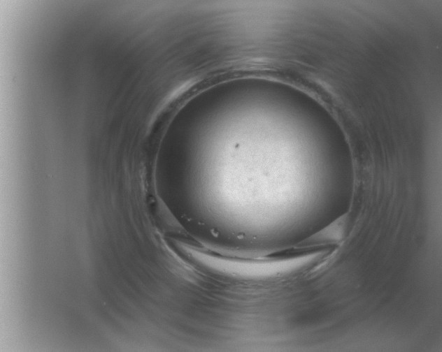 X0000063481402200602031913