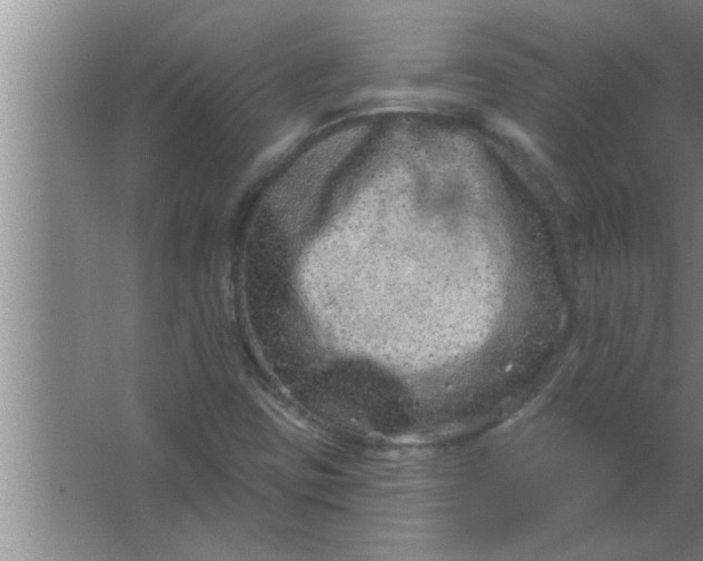 X0000063481403200602031913