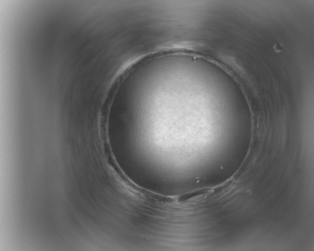 X0000063481404200602031914