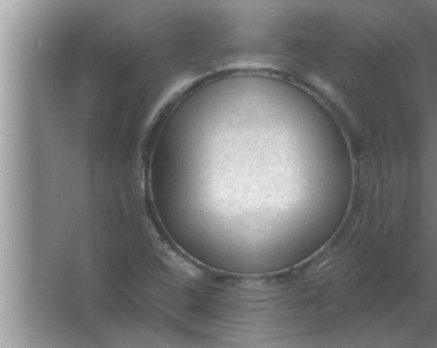 X0000063481408200602031914