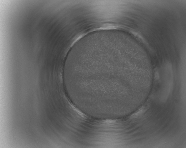 X0000063481409200602031914