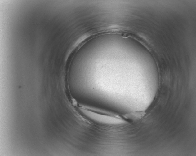 X0000063481410200602031914