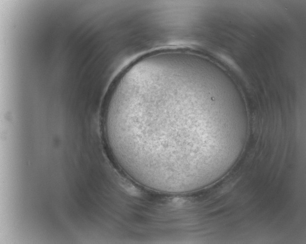 X0000063481412200602031914