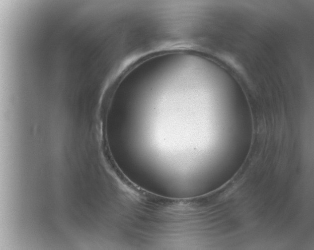 X0000063481414200602031914