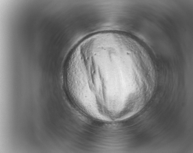 X0000063481415200602031914