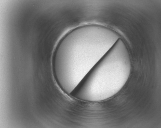 X0000063481416200602031914