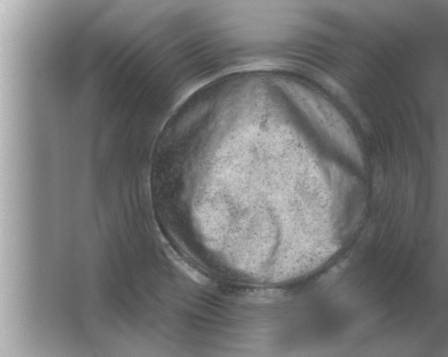 X0000063481417200602031914