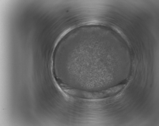 X0000063481418200602031914