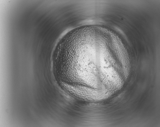 X0000063481419200602031914