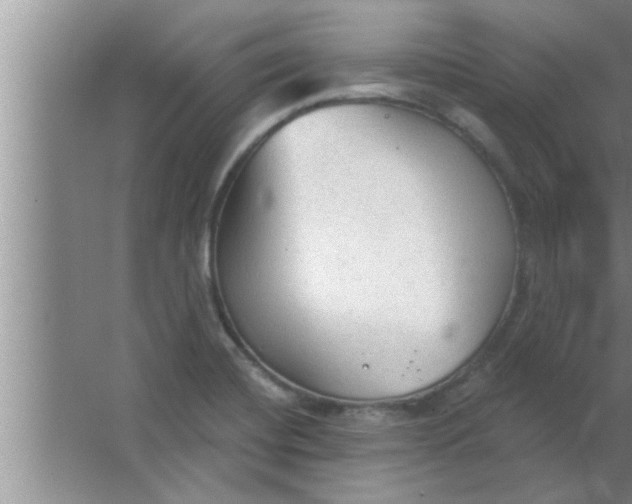 X0000063481420200602031914