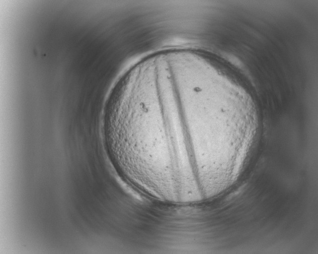 X0000063481421200602031914