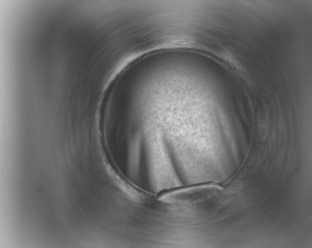 X0000063481422200602031914