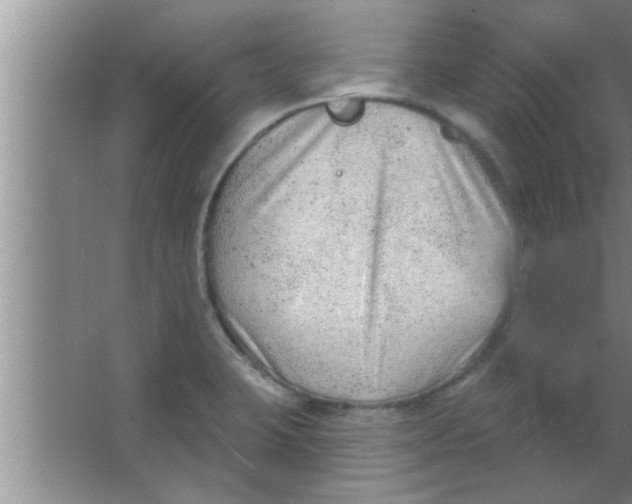 X0000063481423200602031914