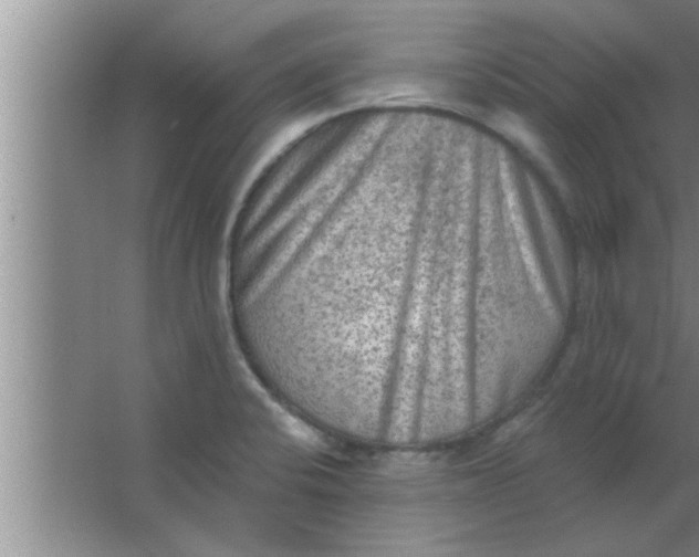 X0000063481424200602031914