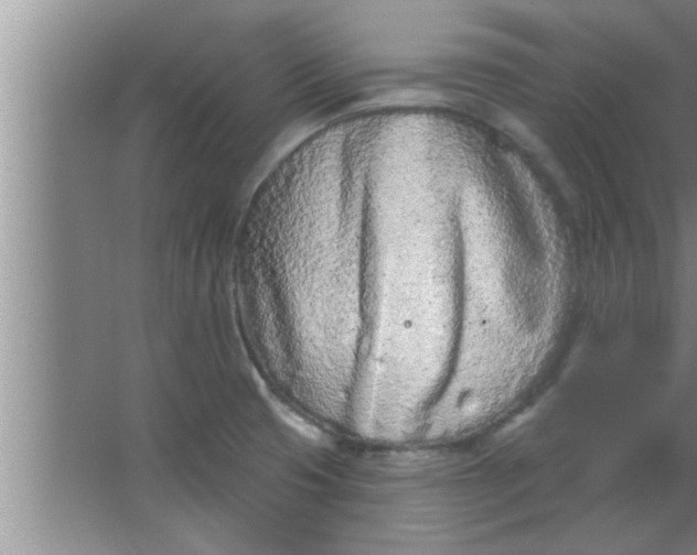 X0000063481425200602031914