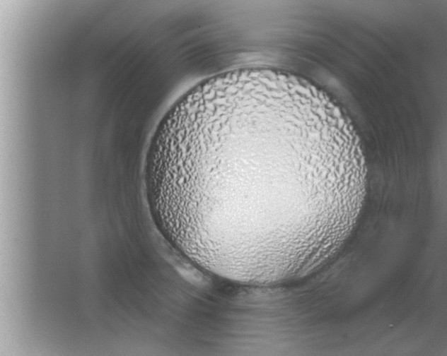 X0000063481427200602031914