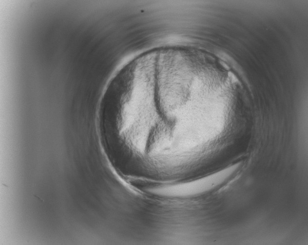 X0000063481429200602031914