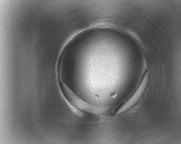 X0000063481430200602031914