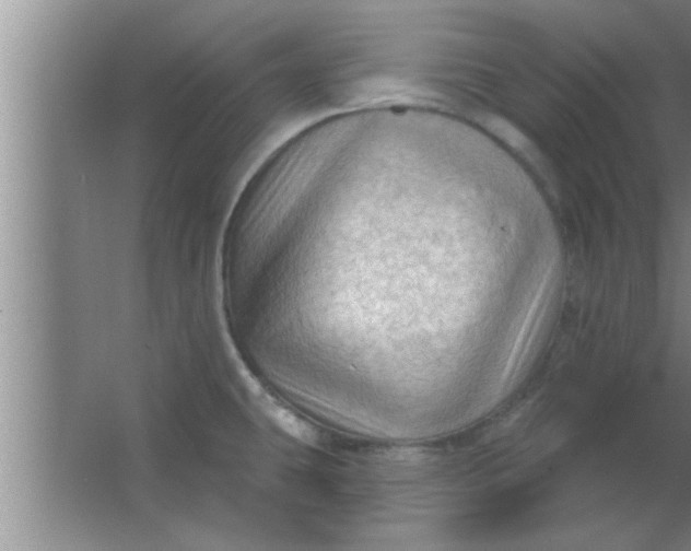 X0000063481431200602031914