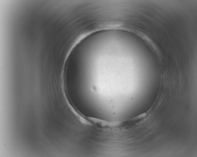 X0000063481432200602031914