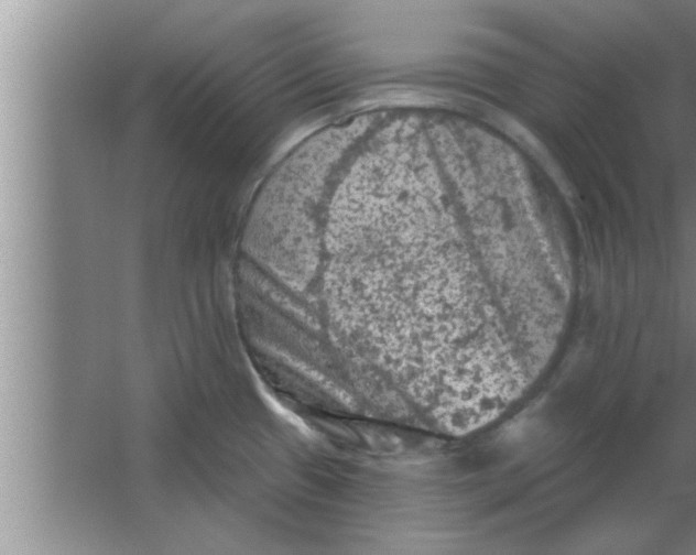 X0000063481433200602031914