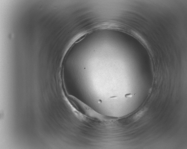 X0000063481434200602031914