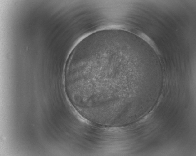 X0000063481436200602031914